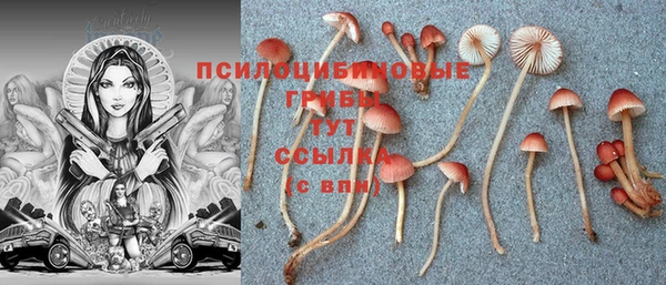 мяу мяу кристалл Лабытнанги